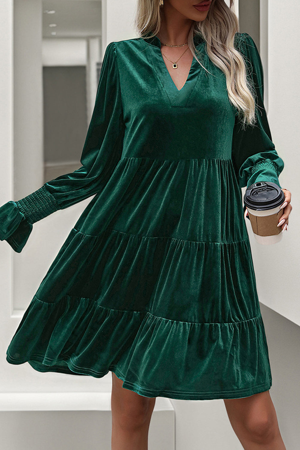 Evergreen Long Sleeve V Neck Velvet Short Dress