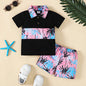 Tropical Short Sleeve Top and Shorts Set - KevRow5760